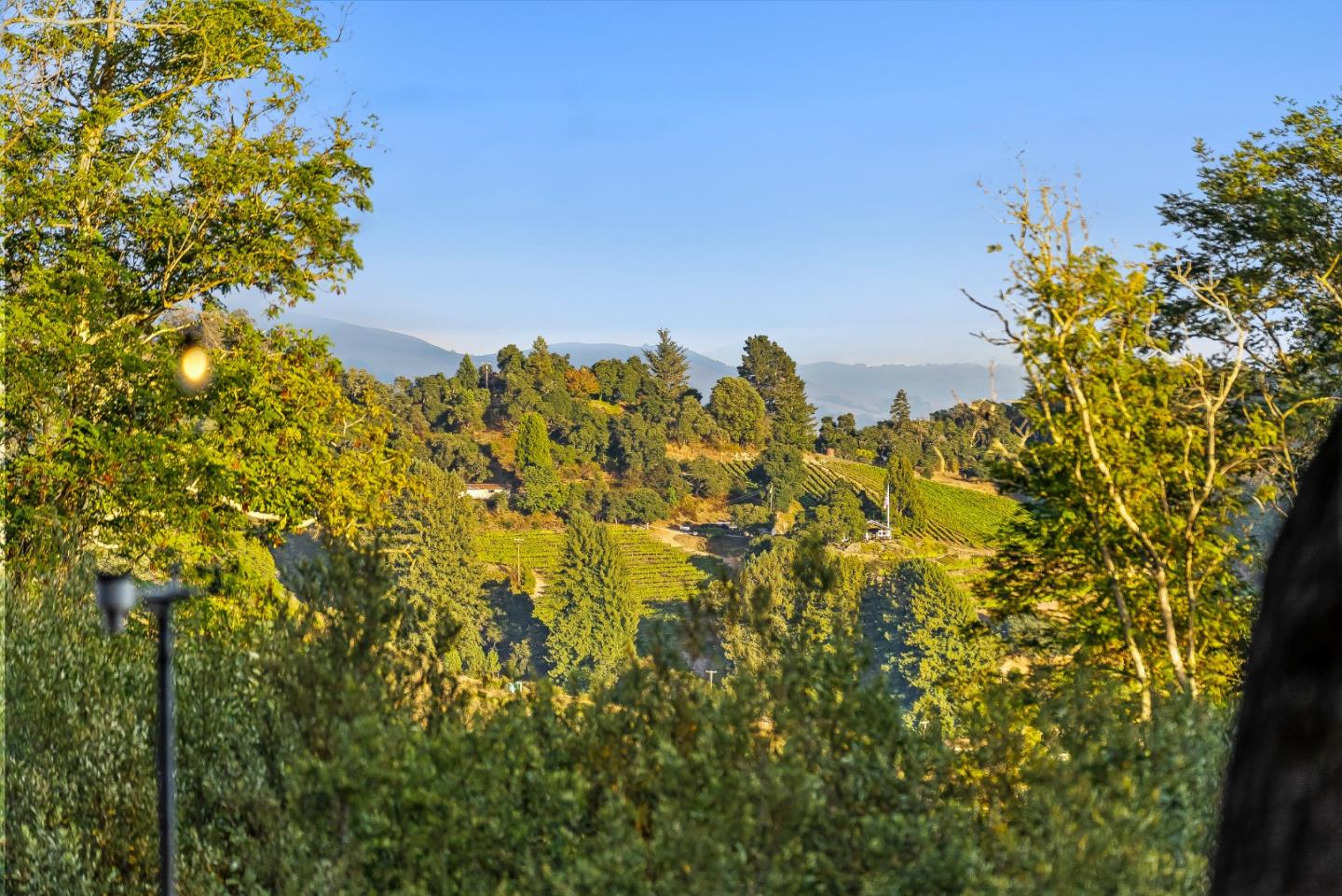 579 San Juan Pass Road Corralitos, CA 95076 - Photo 44 of 56 a view of a bunch of flowers
