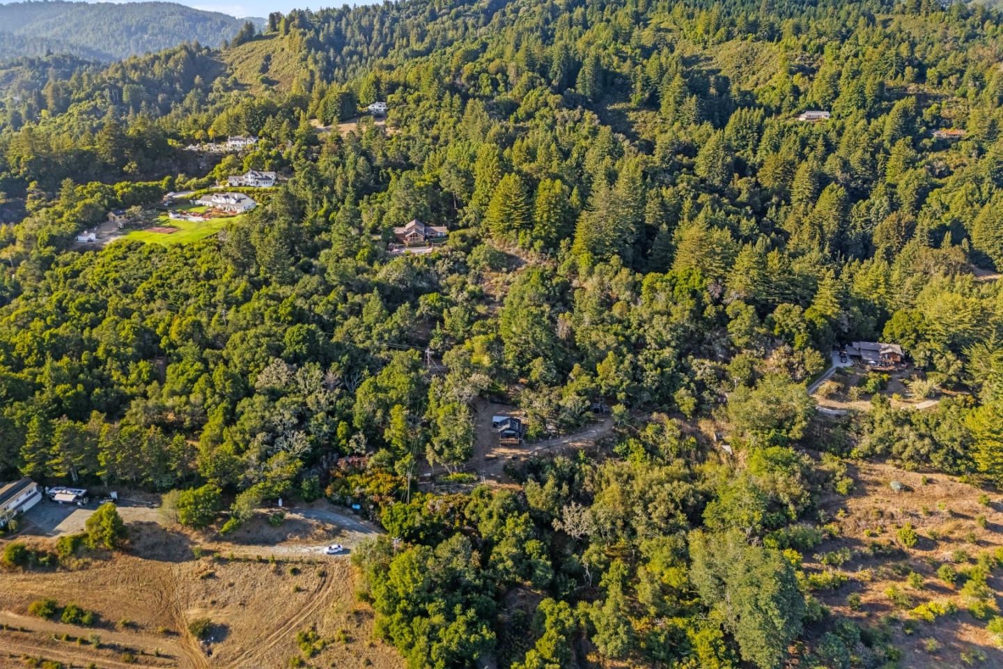 579 San Juan Pass Road Corralitos, CA 95076 - Photo 50 of 56 a view of a tree with a plant