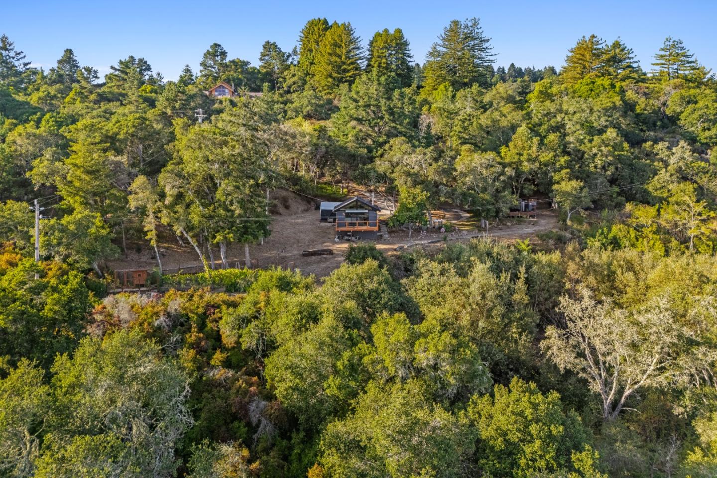 579 San Juan Pass Road Corralitos, CA 95076 - Photo 52 of 56 a view of a forest with a tree