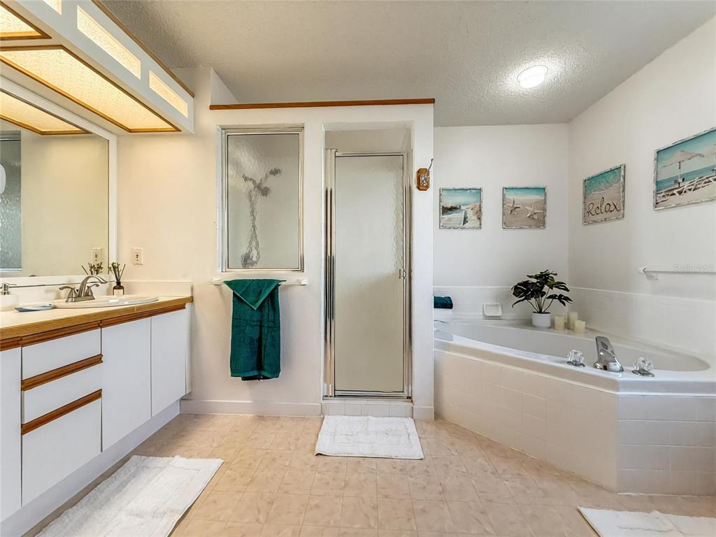 2436 Deer Trail Lane Spring Hill, FL 34606 - Photo 16 of 56 a bathroom with a bathtub a double vanity sink and mirror