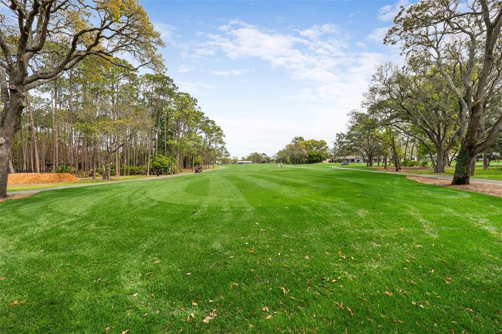 2436 Deer Trail Lane Spring Hill, FL 34606 - Photo 23 of 56 a view of grassy field with benches and trees all around
