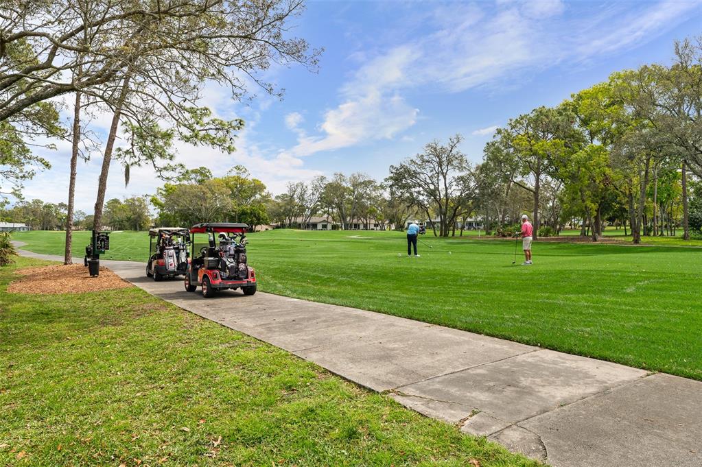 2436 Deer Trail Lane Spring Hill, FL 34606 - Photo 24 of 56 a view of a park with large trees