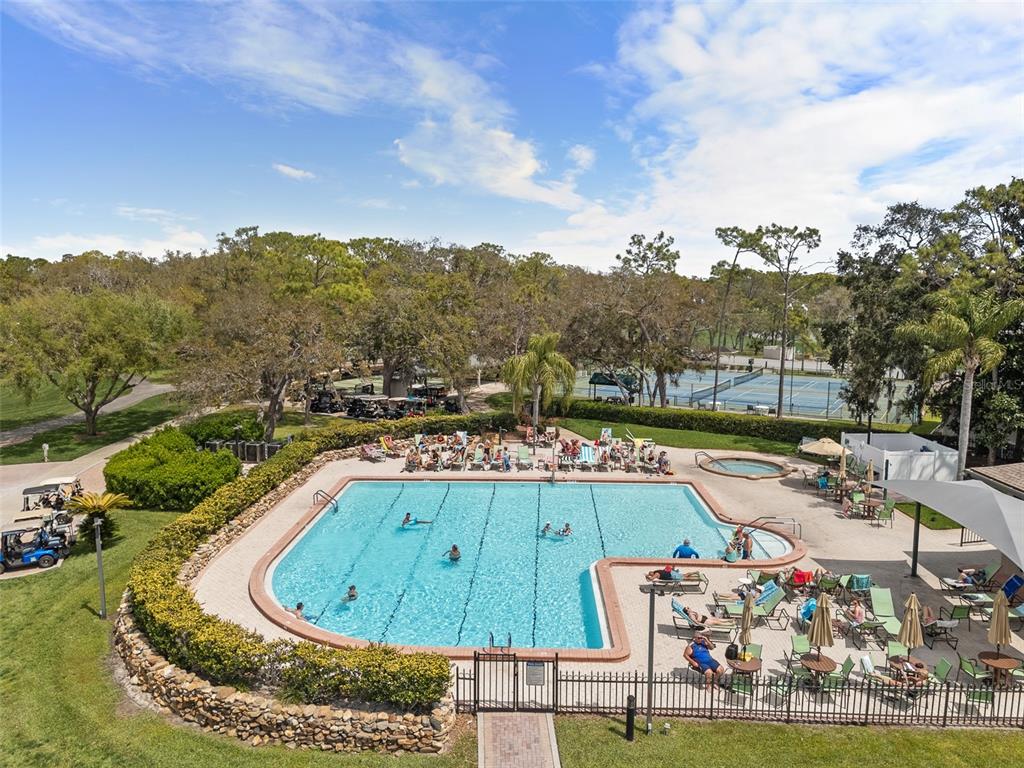 2436 Deer Trail Lane Spring Hill, FL 34606 - Photo 29 of 56 a view of a swimming pool with a patio and a garden
