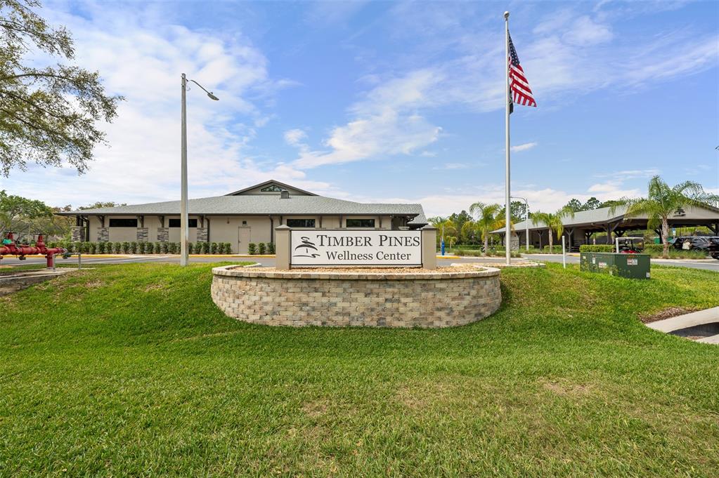 2436 Deer Trail Lane Spring Hill, FL 34606 - Photo 33 of 56 a view of a house with a big yard and palm trees