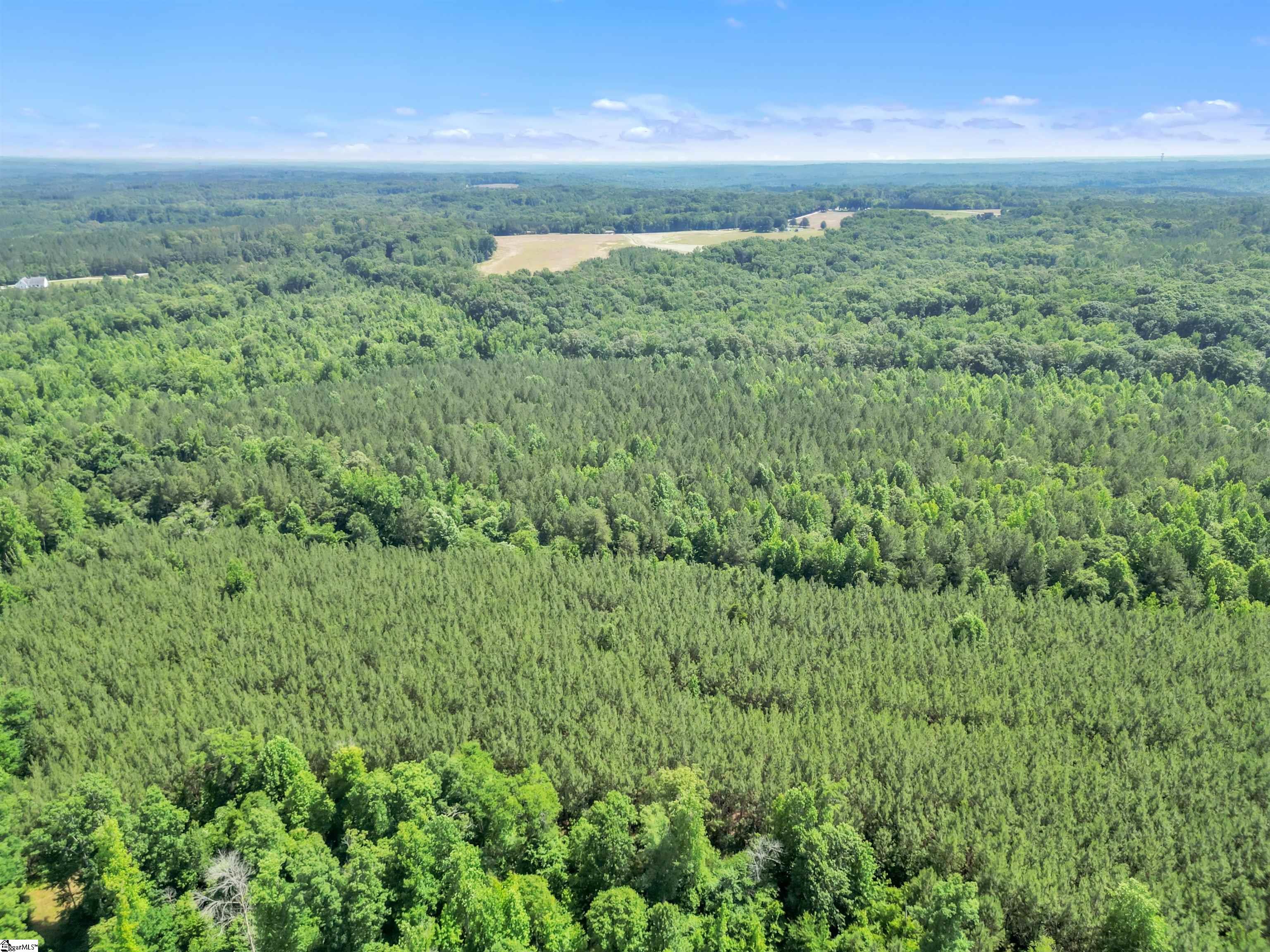 0 Simpson Mill Road Laurens, SC 29360 - Photo 14 of 20