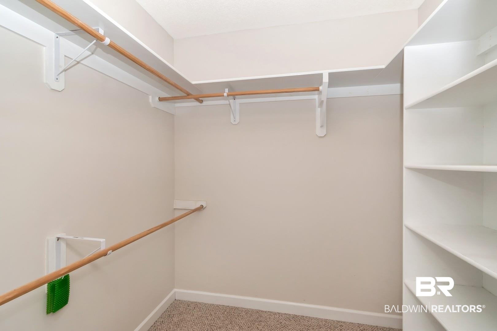 6090 Celeste Road Saraland, AL 36571 - Photo 18 of 38 Walk in closet featuring carpet