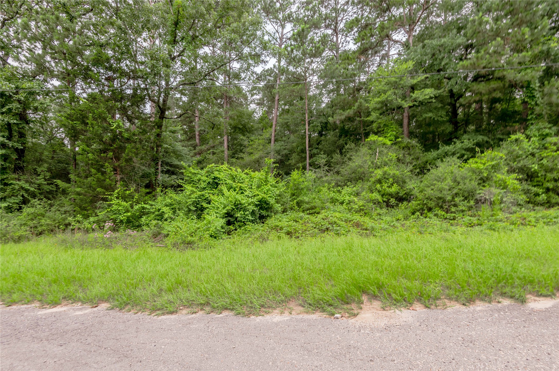Lot 56 Post Oak Circle Trinity, TX 75862 - Photo 5 of 33