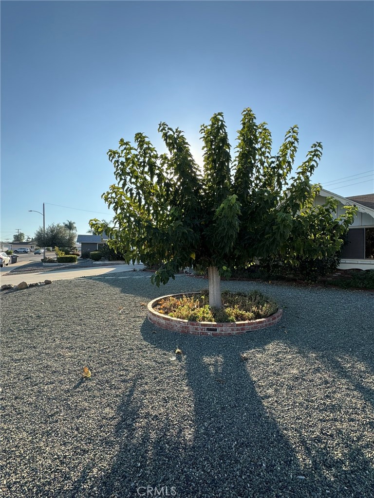 26280 Ridgemoor Road Menifee, CA 92586 - Photo 7 of 52