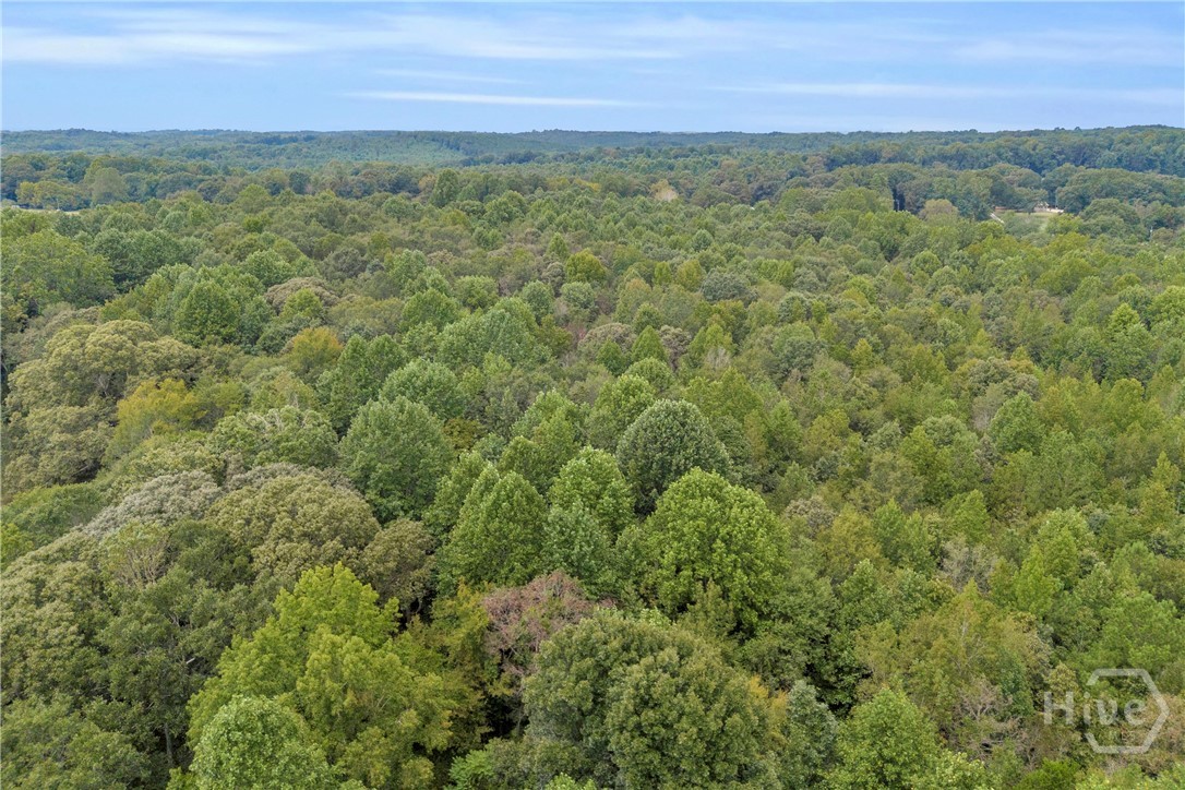 0 Carlan Road, Unit TRACT 4 Jasper, GA 30143 - Photo 4 of 16