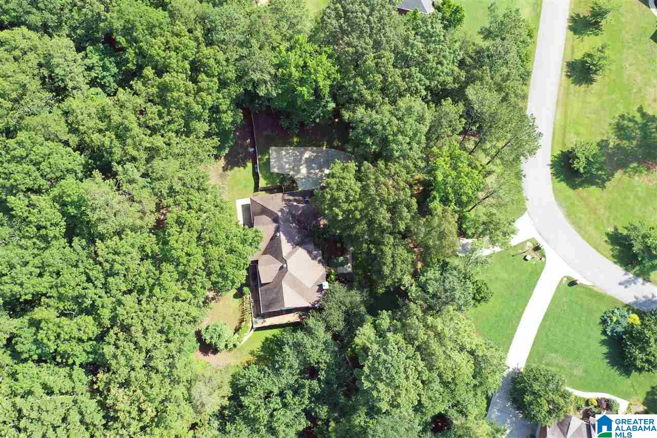 242 Forest Ridge Drive Jacksonville, AL 36265 - Photo 2 of 48