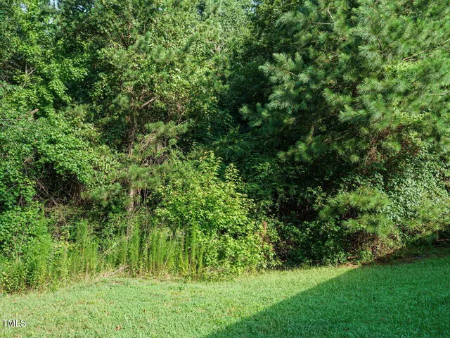 $75,000 | Tbd St Lukes Church Road, Goldston, NC 27252