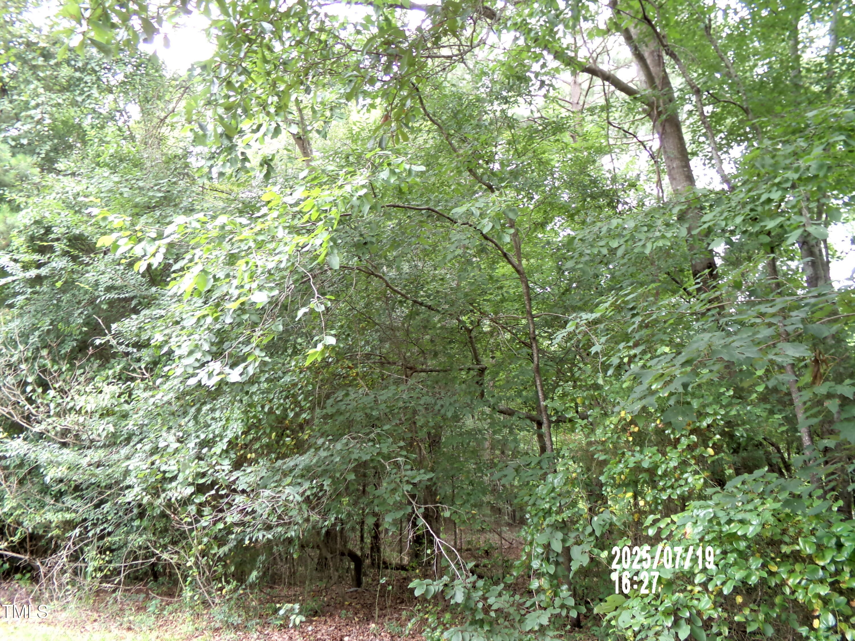 Tbd St Lukes Church Road Goldston, NC 27252 - Photo 2 of 8 101_0237