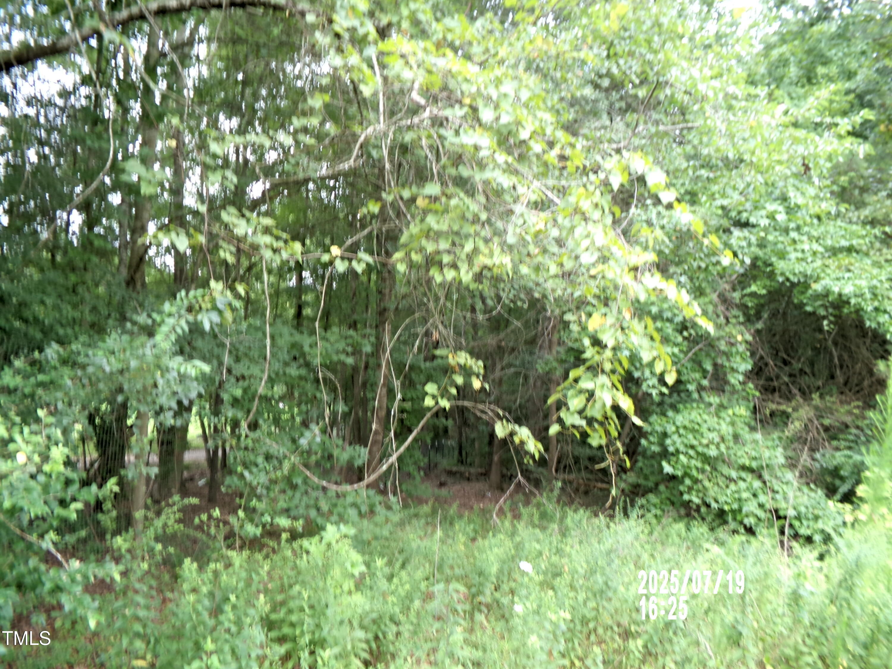 Tbd St Lukes Church Road Goldston, NC 27252 - Photo 3 of 8 101_0231