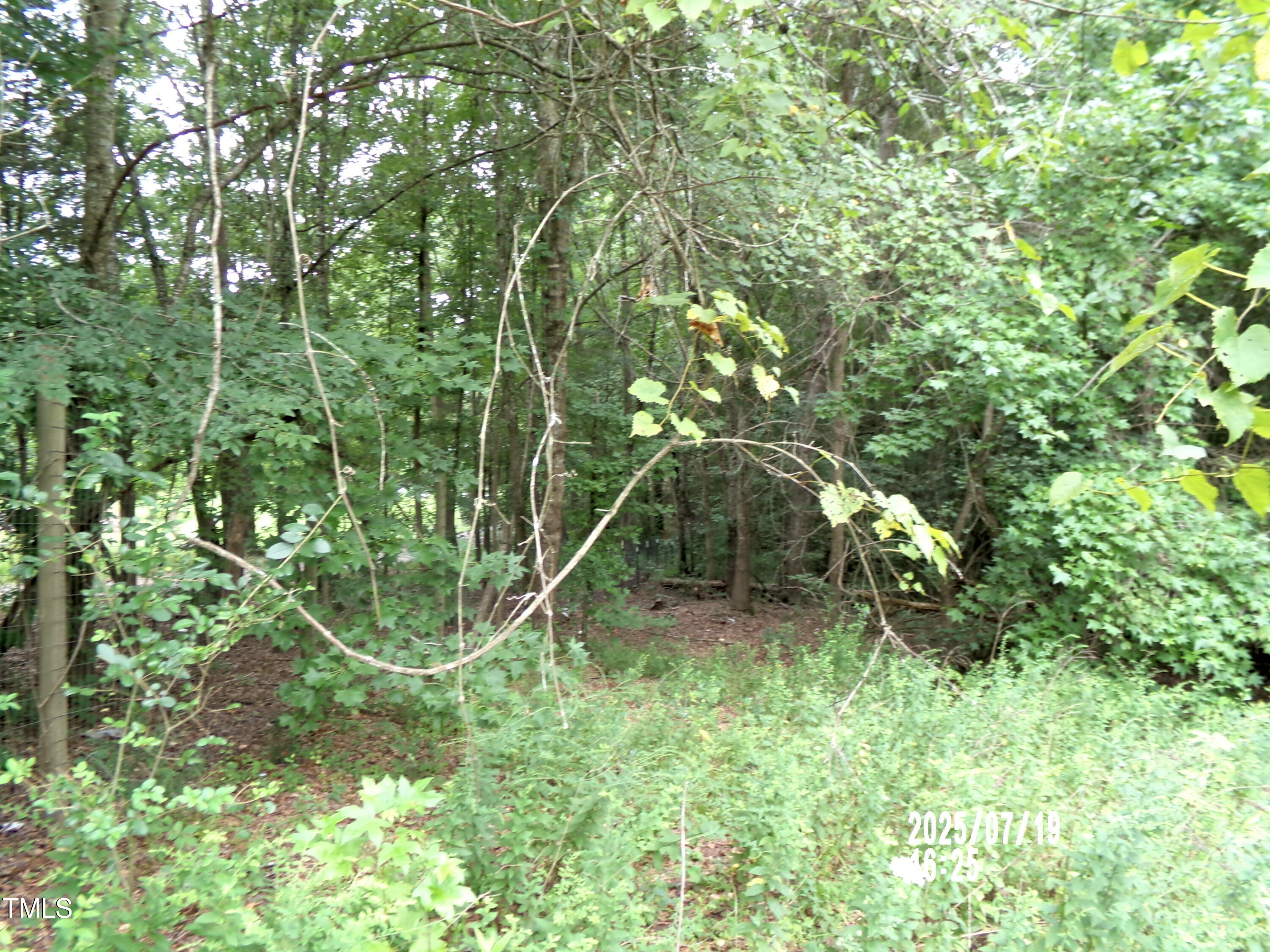 Tbd St Lukes Church Road Goldston, NC 27252 - Photo 4 of 8 101_0232