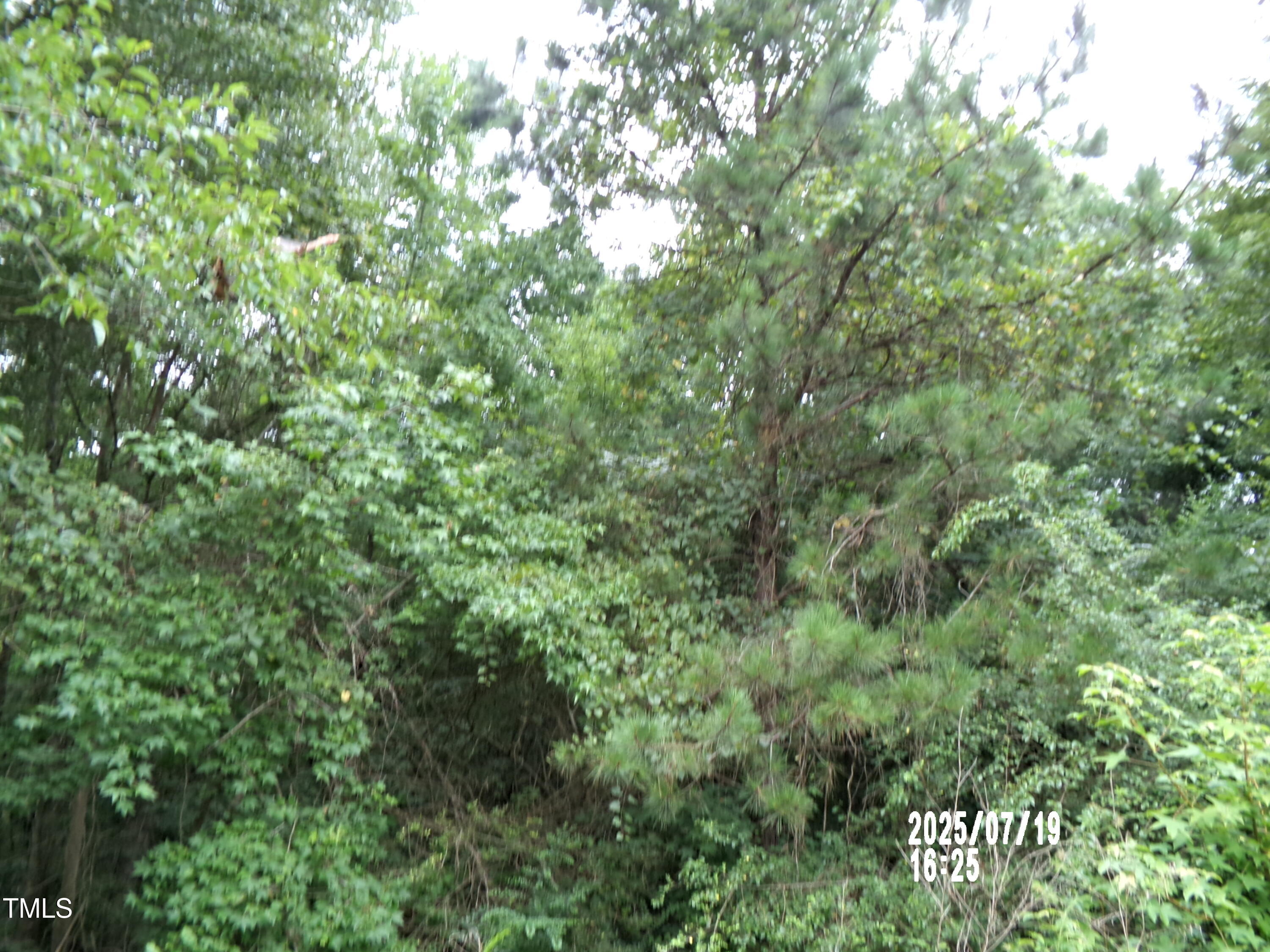 Tbd St Lukes Church Road Goldston, NC 27252 - Photo 5 of 8 101_0233