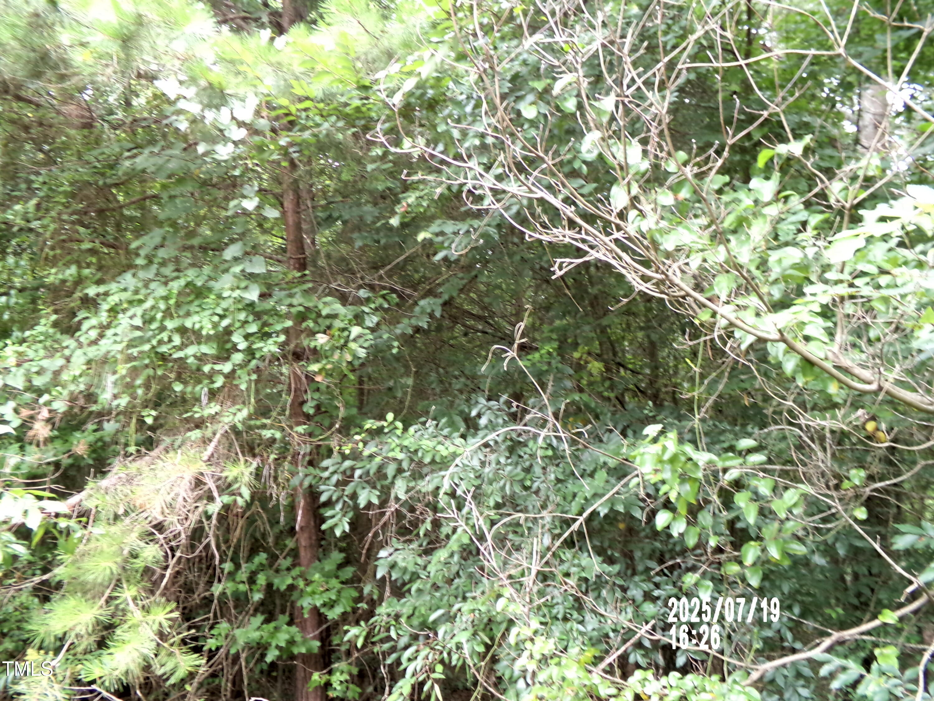 Tbd St Lukes Church Road Goldston, NC 27252 - Photo 6 of 8 101_0234