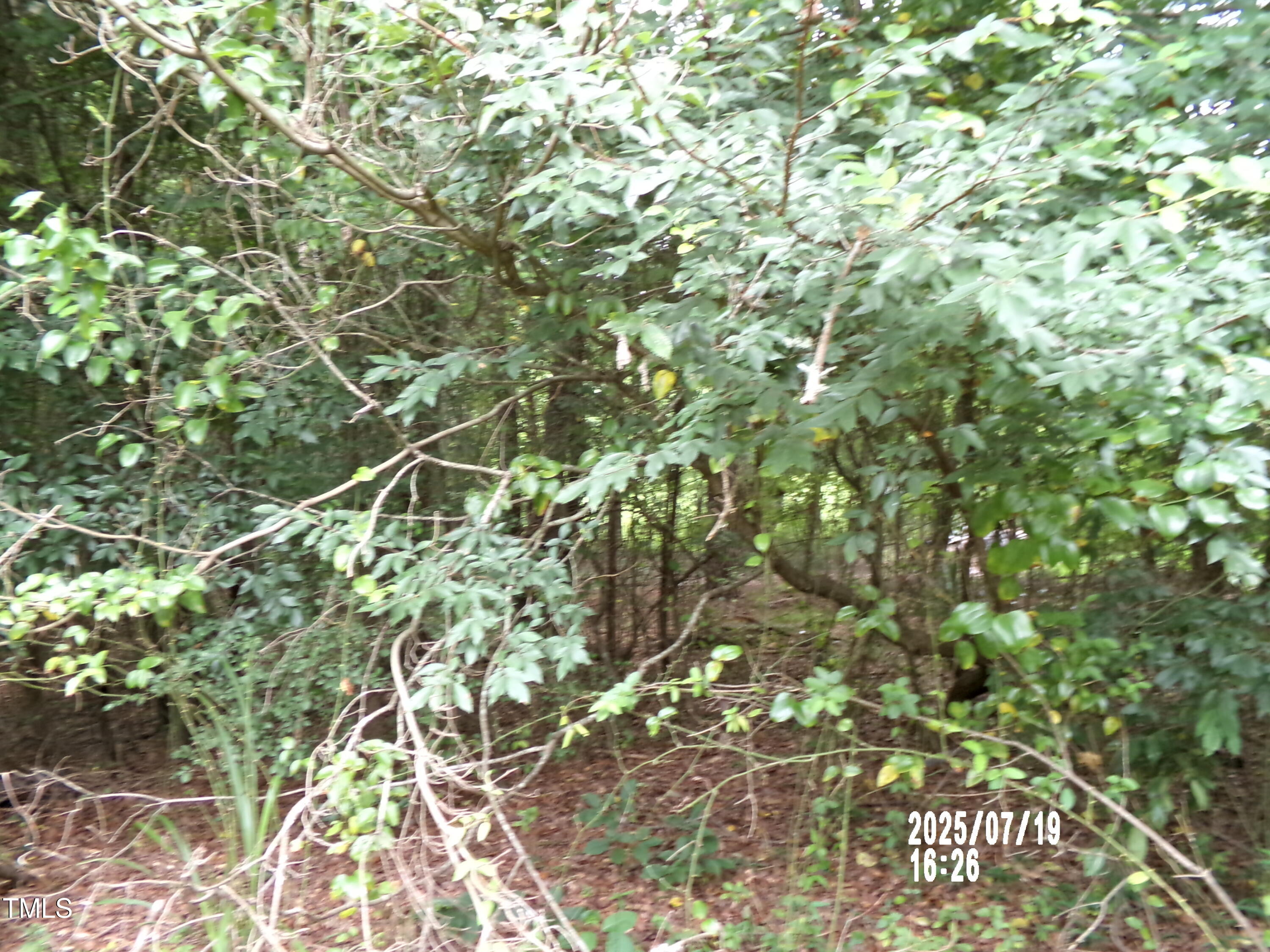 Tbd St Lukes Church Road Goldston, NC 27252 - Photo 7 of 8 101_0235