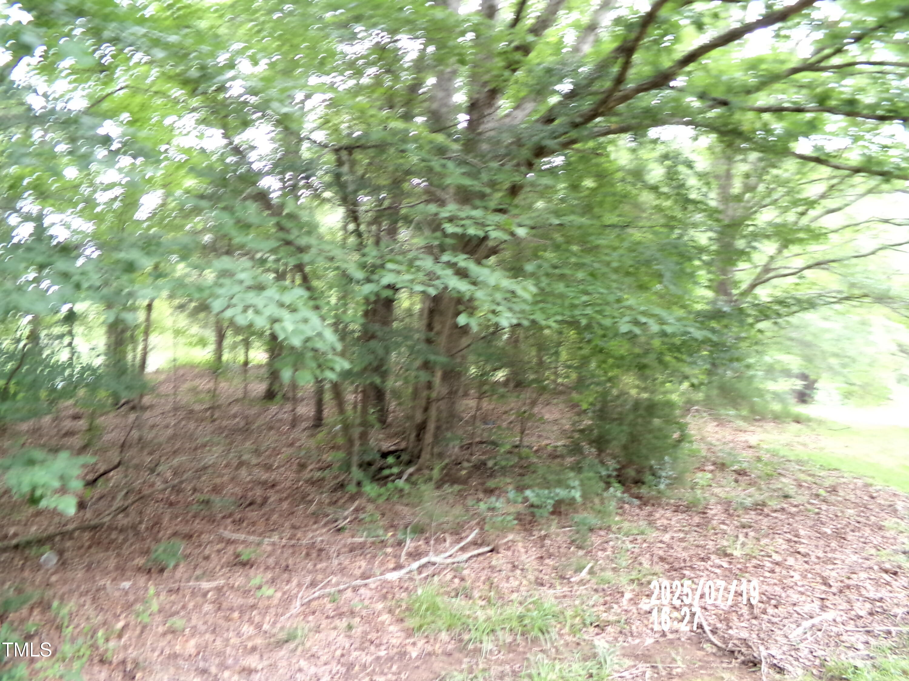 Tbd St Lukes Church Road Goldston, NC 27252 - Photo 8 of 8 101_0236