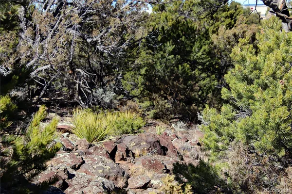 $19,400 | Lot 67 Alta Mesa Drive, San Luis, CO 81152