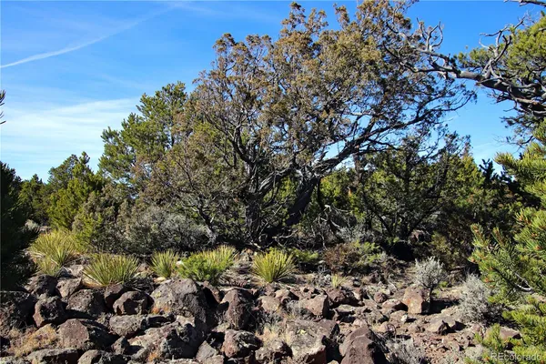 $19,400 | Lot 67 Alta Mesa Drive, San Luis, CO 81152