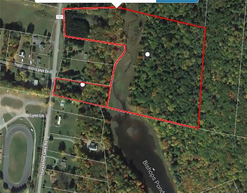 141 Horseshoe Lake Road Bethel, NY 12749 - Photo 11 of 17 Aerial view of property's location with property parcel outlined