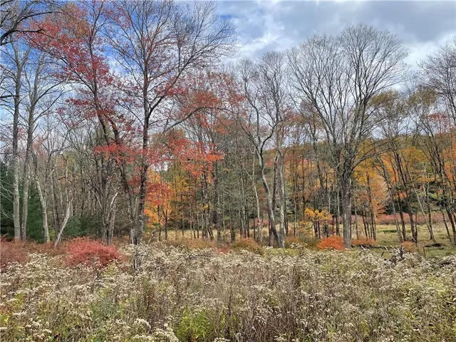 $99,900 | 141 Horseshoe Lake Road, Bethel, NY 12749