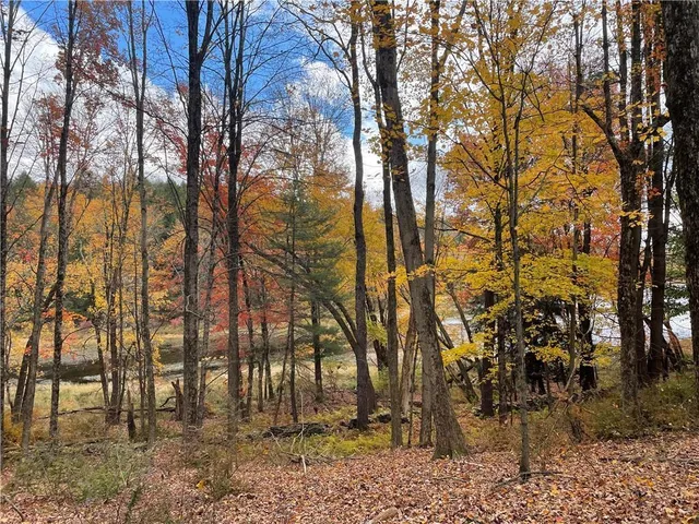 $99,900 | 141 Horseshoe Lake Road, Bethel, NY 12749