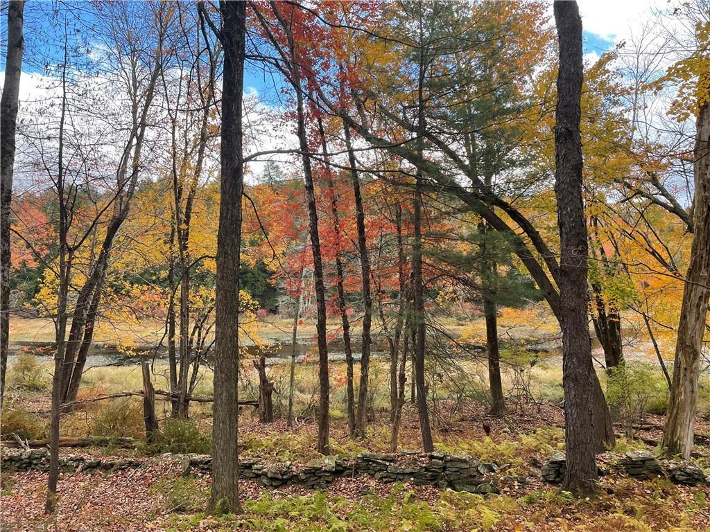 141 Horseshoe Lake Road Bethel, NY 12749 - Photo 17 of 17 View of wooded area