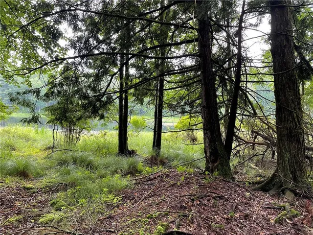 $99,900 | 141 Horseshoe Lake Road, Bethel, NY 12749