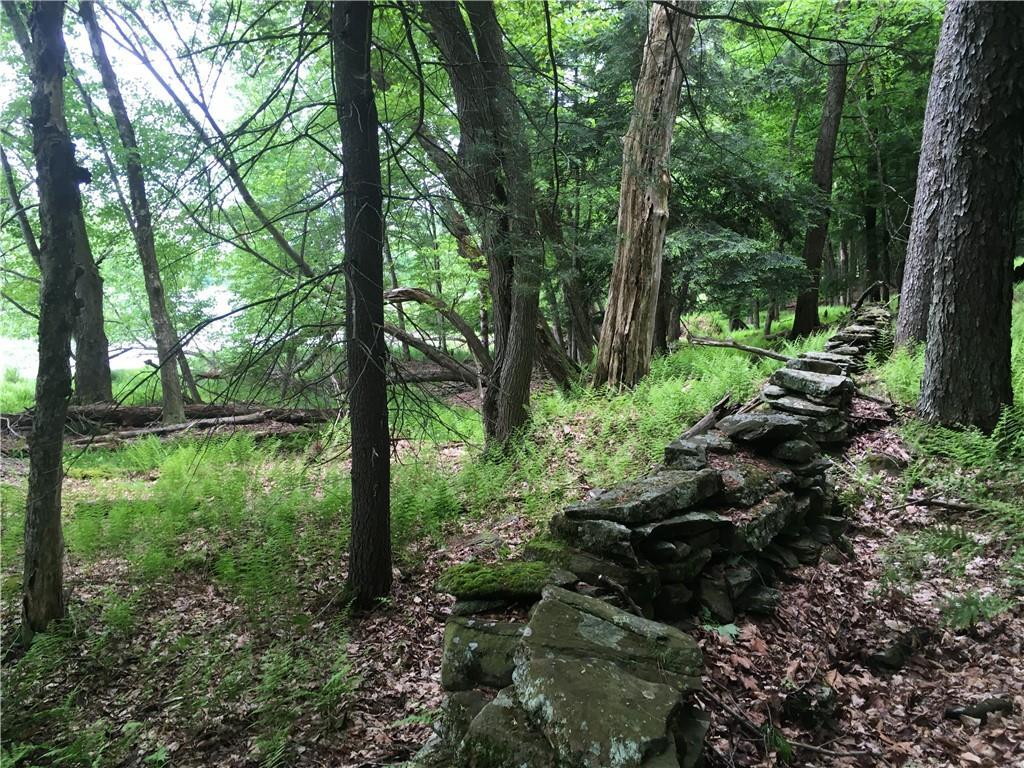 141 Horseshoe Lake Road Bethel, NY 12749 - Photo 3 of 17 View of stone wall