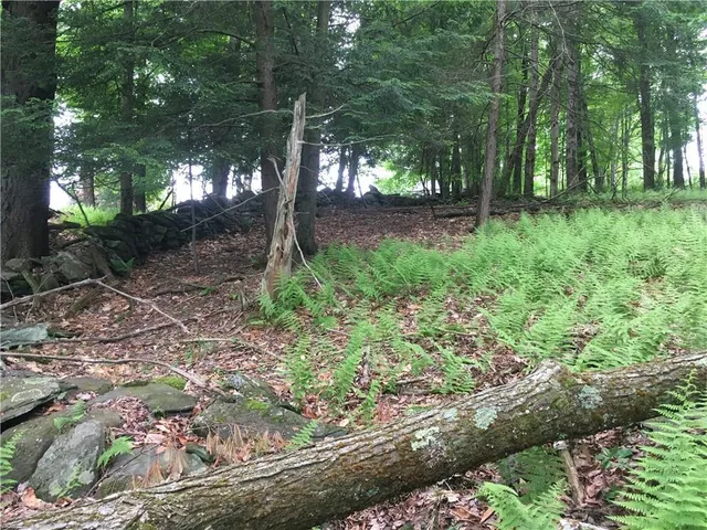 $99,900 | 141 Horseshoe Lake Road, Bethel, NY 12749