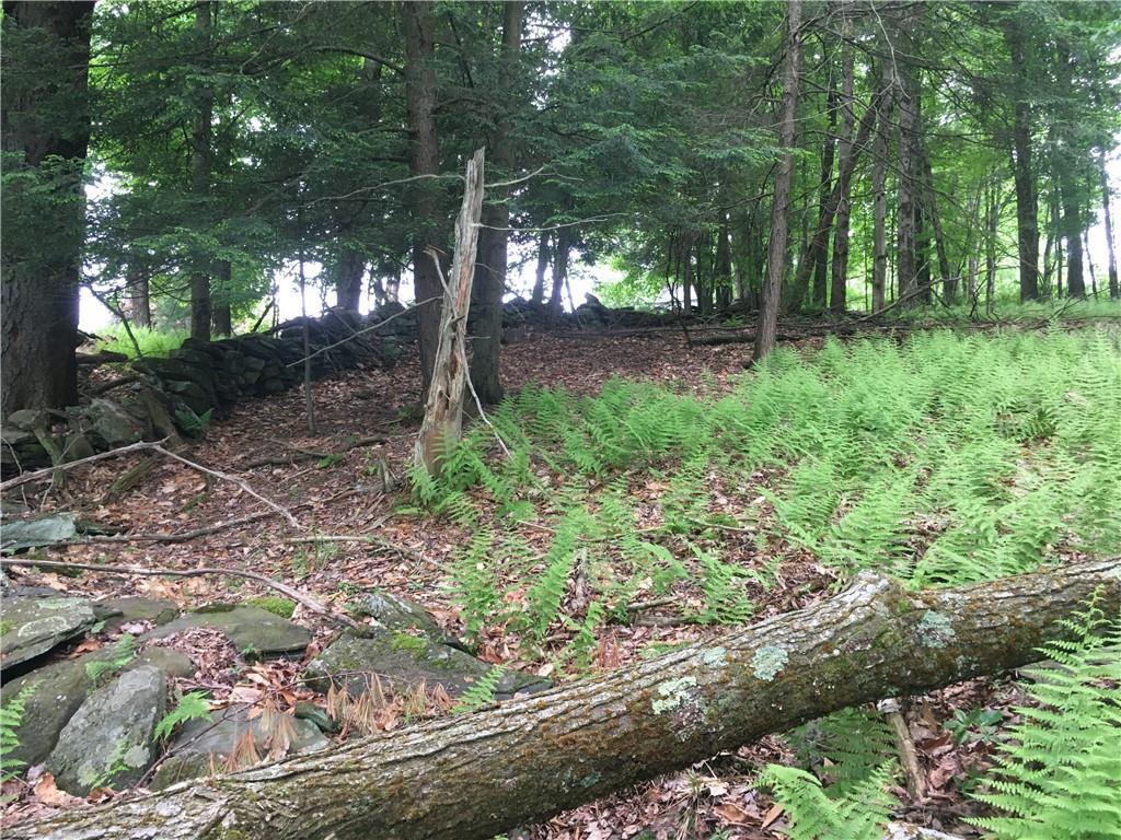 141 Horseshoe Lake Road Bethel, NY 12749 - Photo 4 of 17 View of nature