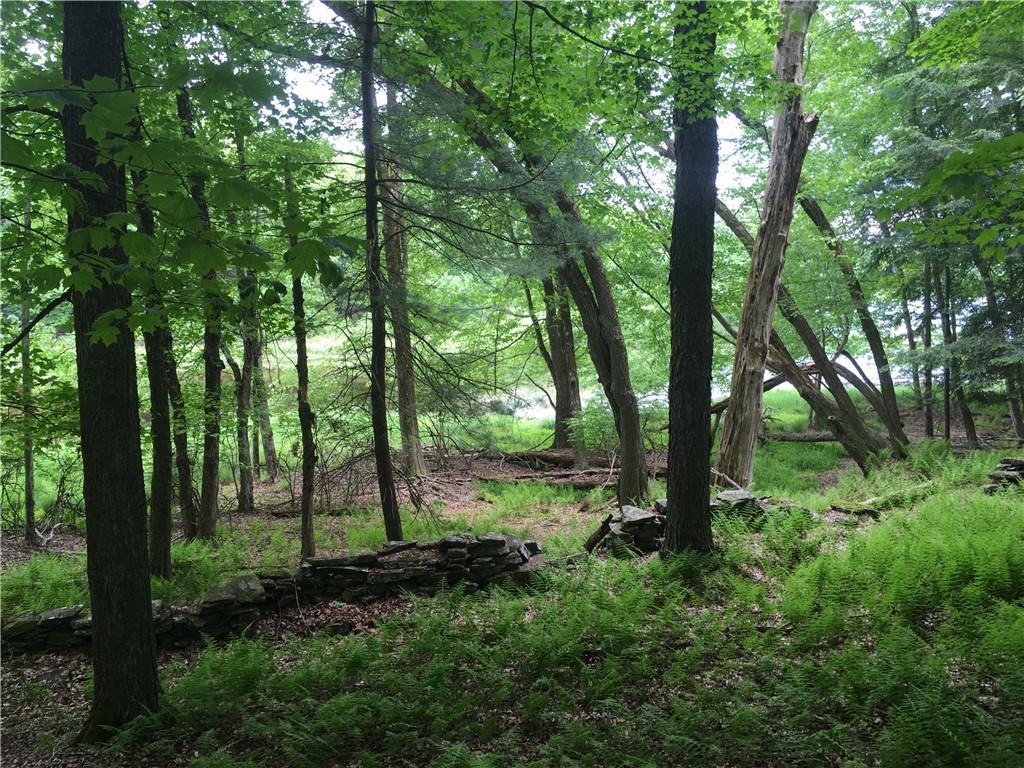 141 Horseshoe Lake Road Bethel, NY 12749 - Photo 5 of 17 View of wooded area