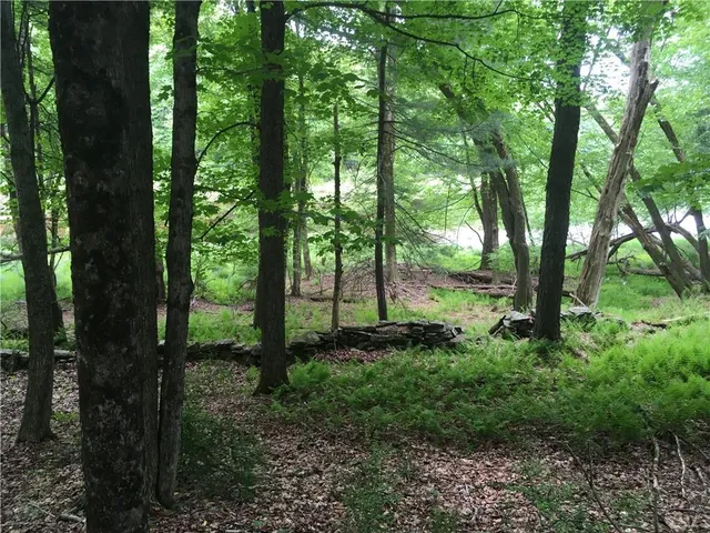 $99,900 | 141 Horseshoe Lake Road, Bethel, NY 12749