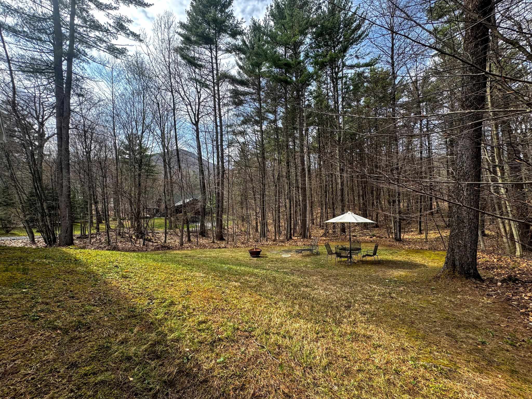 358 Birch Grove Arlington, VT 05250 - Photo 7 of 59
