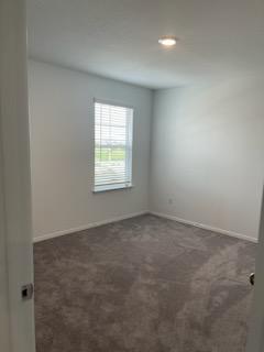 1509 Hope Rnch Road Leander, TX 78641 - Photo 18 of 25 Spare room with dark colored carpet and baseboards