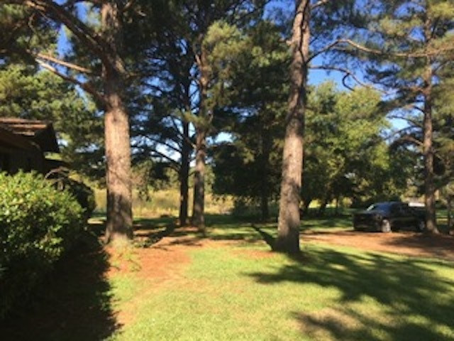 285 Gunter Road Canton, MS 39046 - Photo 11 of 26 Photo 11