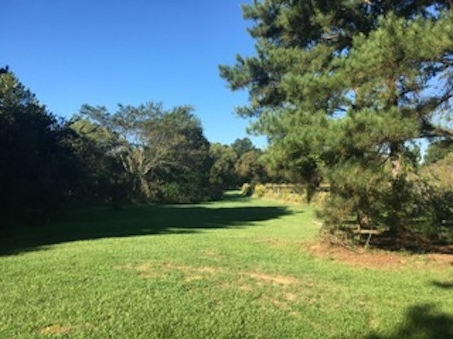 285 Gunter Road Canton, MS 39046 - Photo 16 of 26 Photo 16