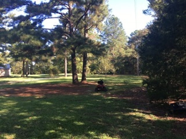 285 Gunter Road Canton, MS 39046 - Photo 10 of 26 Photo 10