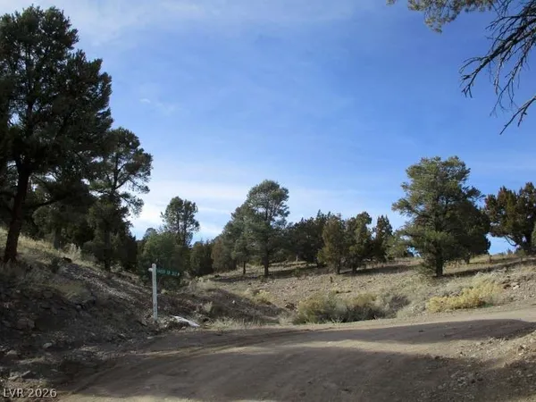 $343,825 | 322 (13.753 Ac), Pioche, NV 89043