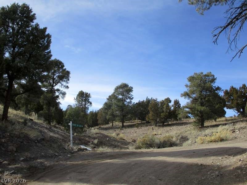 322 (13.753 Ac) Pioche, NV 89043 - Photo 2 of 11 View of dirt / gravel road with a view of countryside