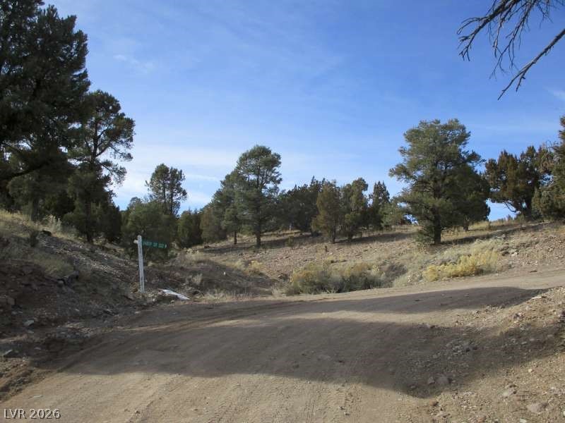 322 (13.753 Ac) Pioche, NV 89043 - Photo 3 of 11 View of dirt / gravel road with a view of rural / pastoral area