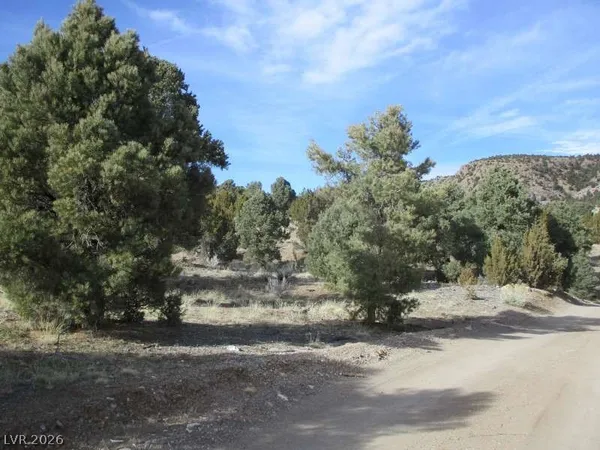 $343,825 | 322 (13.753 Ac), Pioche, NV 89043