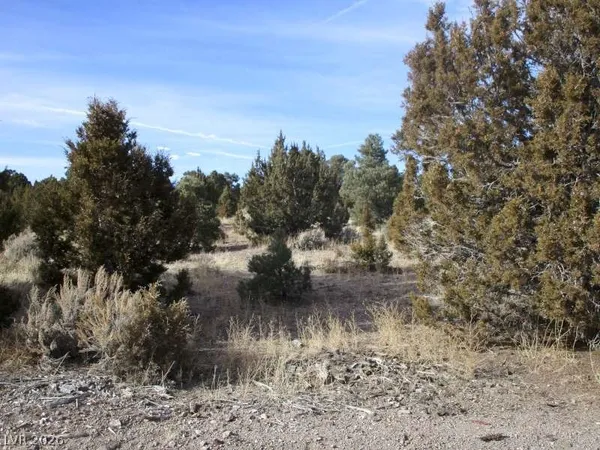 $343,825 | 322 (13.753 Ac), Pioche, NV 89043
