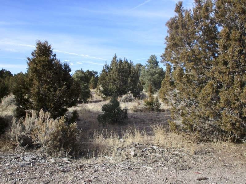 322 (13.753 Ac) Pioche, NV 89043 - Photo 5 of 11 View of nature