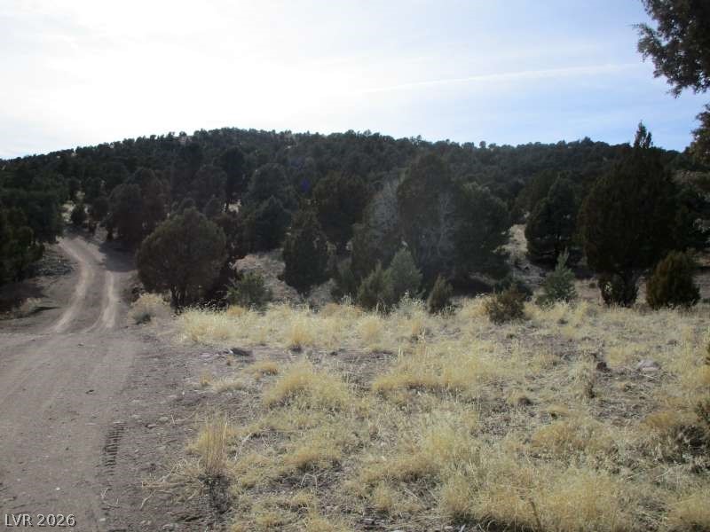 322 (13.753 Ac) Pioche, NV 89043 - Photo 6 of 11 View of nature