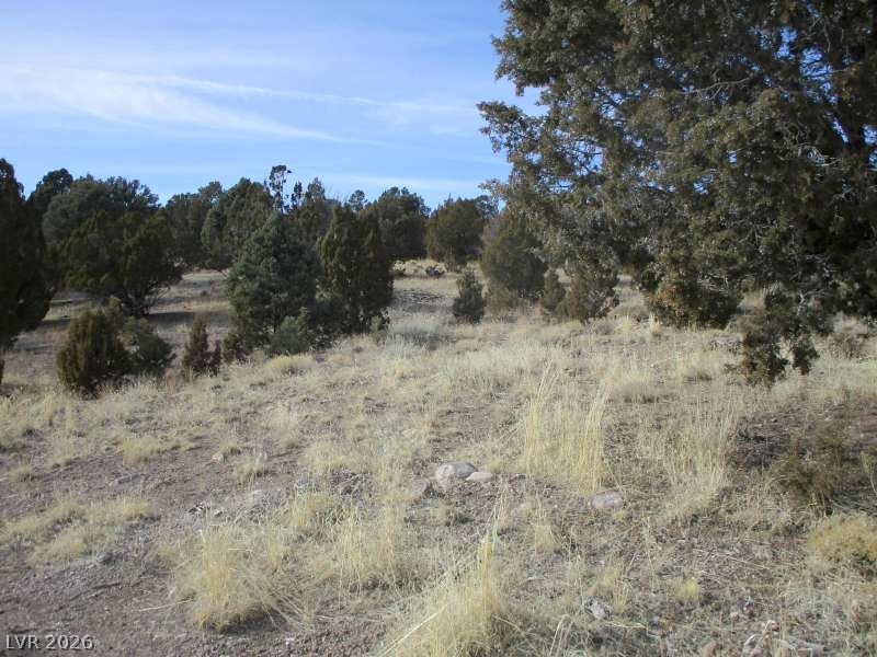 322 (13.753 Ac) Pioche, NV 89043 - Photo 7 of 11 View of nature featuring rural landscape