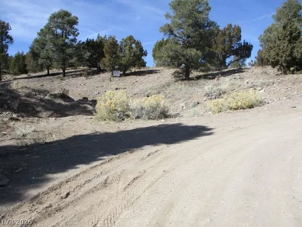 $343,825 | 322 (13.753 Ac), Pioche, NV 89043