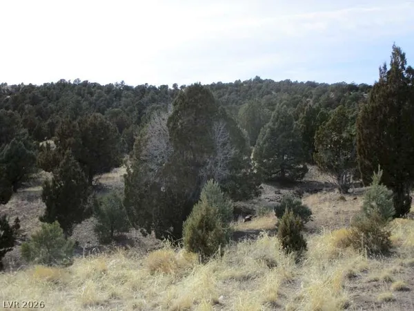 $343,825 | 322 (13.753 Ac), Pioche, NV 89043