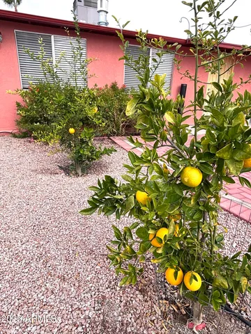 a view of a backyard with sitting area